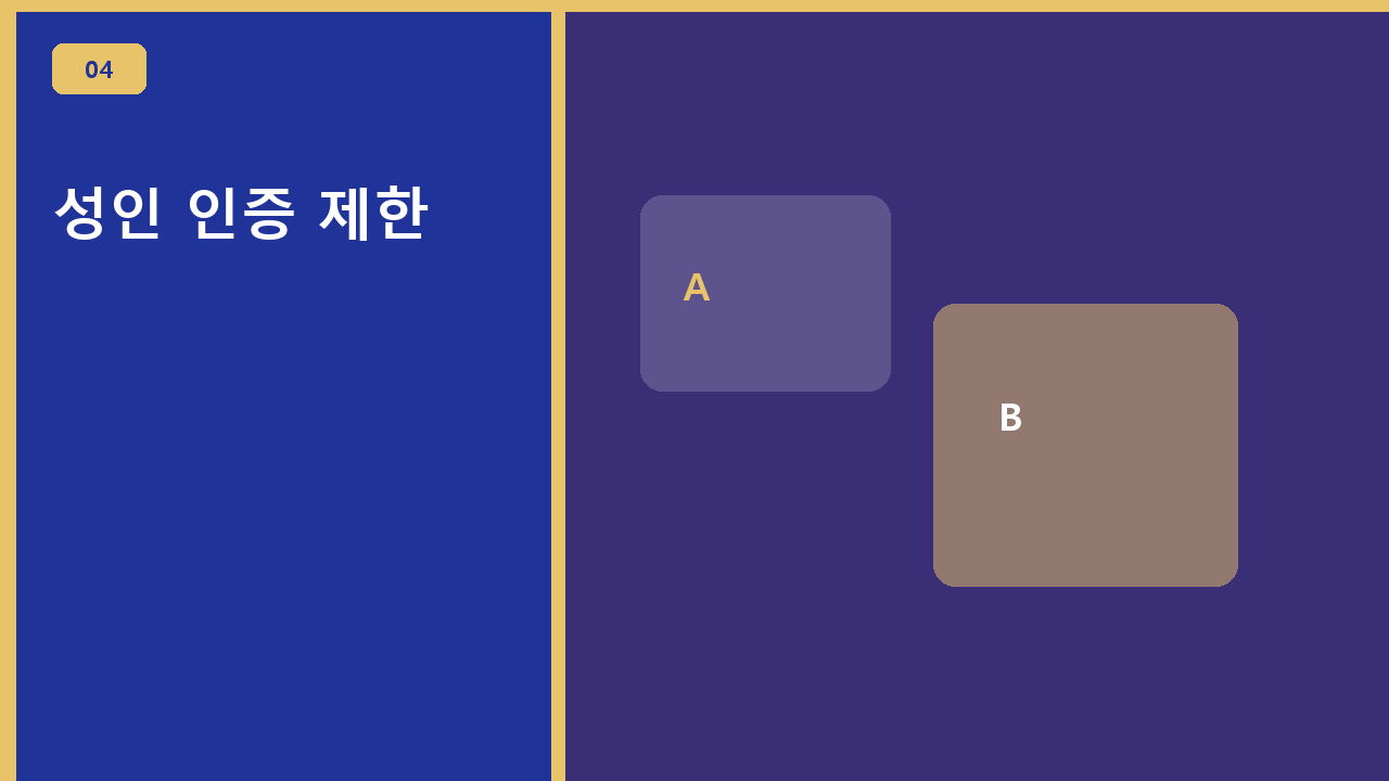 성인 인증 제한